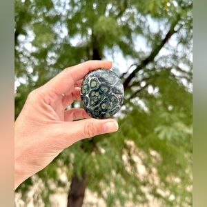 Kambaba jasper palmstone